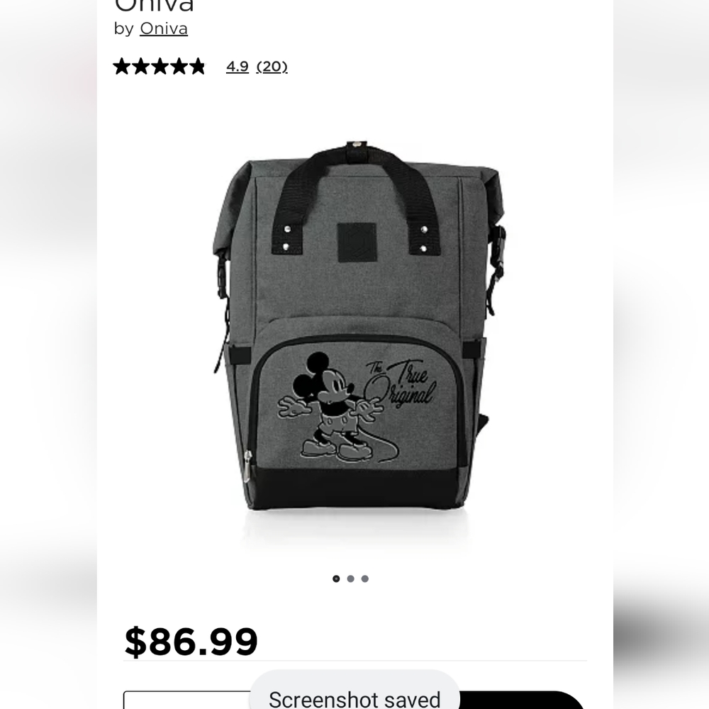 Disney Mickey Mouse cooler backpack